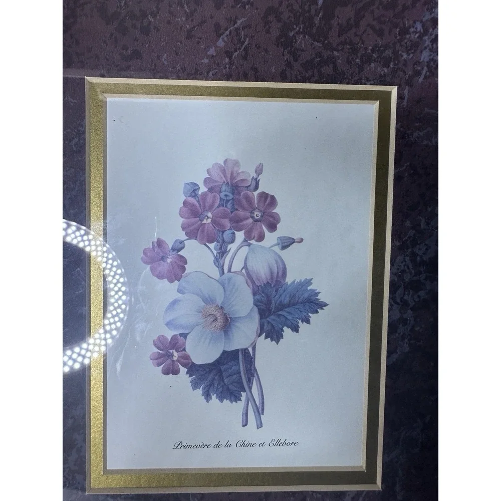 Vintage botanical Art French Gold Frames‎